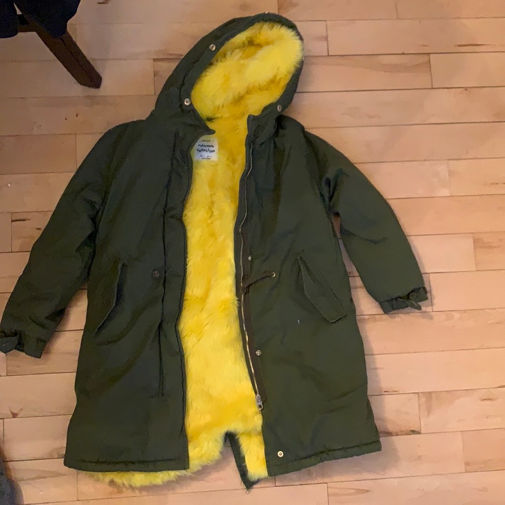 Beautiful, worn one time Zara fall/winter coat!